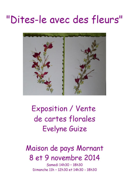 evelyne guize